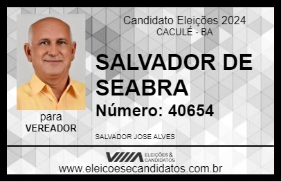 Candidato SALVADOR DE SEABRA 2024 - CACULÉ - Eleições