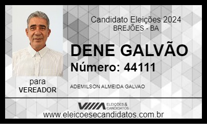 Candidato DENE GALVÃO 2024 - BREJÕES - Eleições