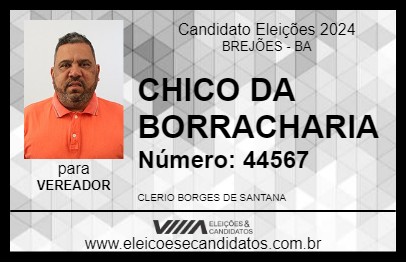 Candidato CHICO DA BORRACHARIA 2024 - BREJÕES - Eleições