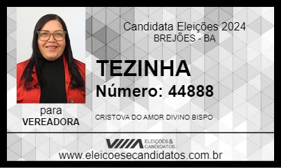 Candidato TEZINHA 2024 - BREJÕES - Eleições