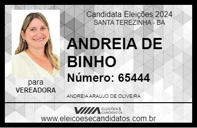 Candidato ANDREIA DE BINHO 2024 - SANTA TEREZINHA - Eleições