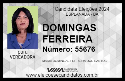 Candidato DOMINGAS FERREIRA 2024 - ESPLANADA - Eleições