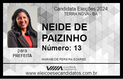 Candidato NEIDE DE PAIZINHO 2024 - TERRA NOVA - Eleições