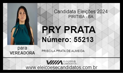 Candidato PRY PRATA 2024 - PIRITIBA - Eleições