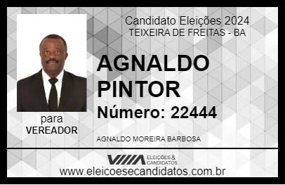 Candidato AGNALDO PINTOR 2024 - TEIXEIRA DE FREITAS - Eleições