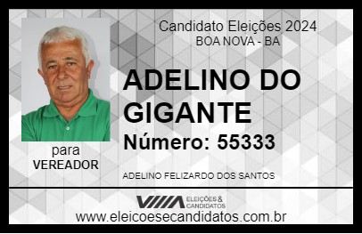 Candidato ADELINO DO GIGANTE 2024 - BOA NOVA - Eleições