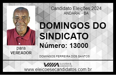 Candidato DOMINGOS DO SINDICATO 2024 - ANDARAÍ - Eleições