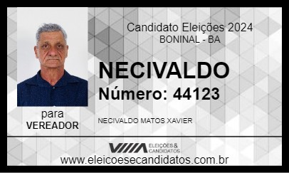 Candidato NECIVALDO 2024 - BONINAL - Eleições