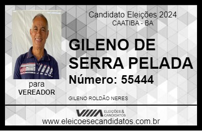 Candidato GILENO DE SERRA PELADA 2024 - CAATIBA - Eleições