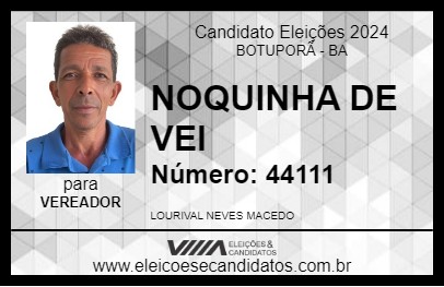 Candidato NOQUINHA DE VEI 2024 - BOTUPORÃ - Eleições