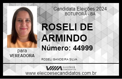 Candidato ROSELI DE ARMINDO 2024 - BOTUPORÃ - Eleições