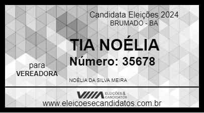 Candidato TIA NOÉLIA 2024 - BRUMADO - Eleições