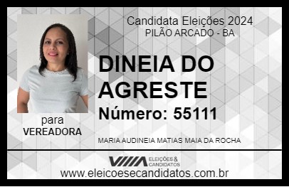 Candidato DINEIA DO AGRESTE 2024 - PILÃO ARCADO - Eleições