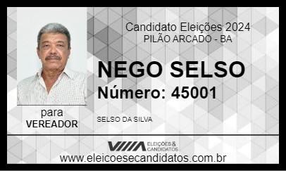 Candidato NEGO SELSO 2024 - PILÃO ARCADO - Eleições