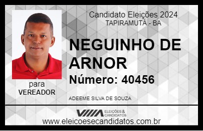 Candidato NEGUINHO DE ARNOR 2024 - TAPIRAMUTÁ - Eleições