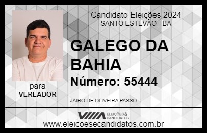 Candidato GALEGO DA BAHIA 2024 - SANTO ESTEVÃO - Eleições