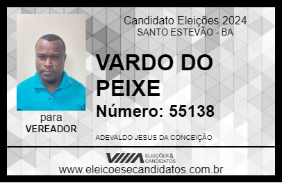 Candidato VARDO DO PEIXE 2024 - SANTO ESTEVÃO - Eleições