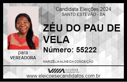 Candidato ZÉU DO PAU DE VELA 2024 - SANTO ESTEVÃO - Eleições