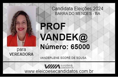 Candidato PROF VANDEK@ 2024 - BARRA DO MENDES - Eleições