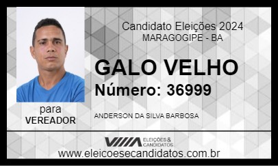 Candidato GALO VELHO 2024 - MARAGOGIPE - Eleições