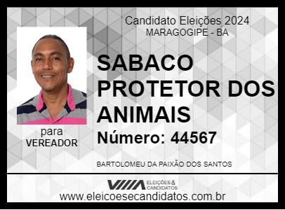 Candidato SABACO PROTETOR DOS ANIMAIS 2024 - MARAGOGIPE - Eleições