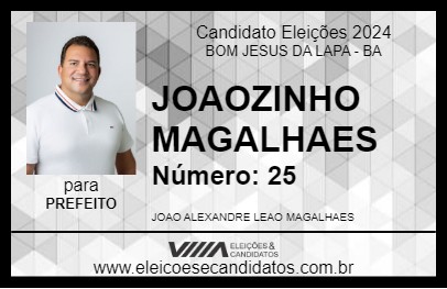 Candidato JOAOZINHO MAGALHAES 2024 - BOM JESUS DA LAPA - Eleições