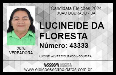 Candidato LUCINEIDE DA FLORESTA 2024 - JOÃO DOURADO - Eleições