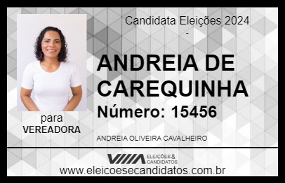 Candidato ANDREIA DE CAREQUINHA 2024 - SANTANA - Eleições