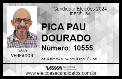 Candidato PICA PAU DOURADO 2024 - IRECÊ - Eleições