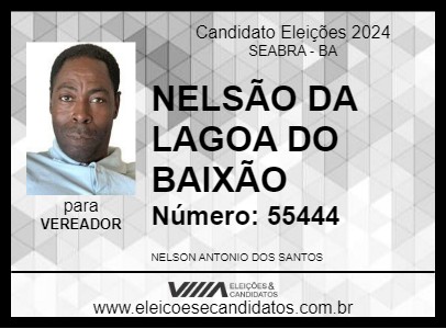 Candidato NELSÃO DA LAGOA DO BAIXÃO 2024 - SEABRA - Eleições