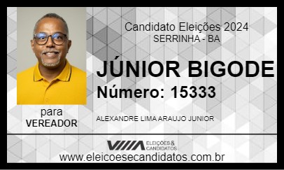 Candidato JÚNIOR BIGODE 2024 - SERRINHA - Eleições