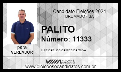 Candidato PALITO 2024 - BRUMADO - Eleições