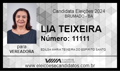 Candidato LIA TEIXEIRA 2024 - BRUMADO - Eleições