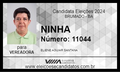 Candidato NINHA 2024 - BRUMADO - Eleições