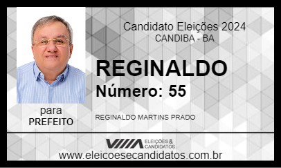 Candidato REGINALDO 2024 - CANDIBA - Eleições