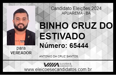 Candidato BINHO CRUZ DO ESTIVADO 2024 - APUAREMA - Eleições