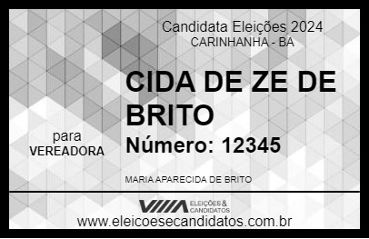 Candidato CIDA DE ZE DE BRITO 2024 - CARINHANHA - Eleições