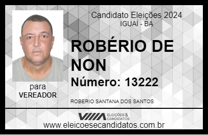 Candidato ROBÉRIO DE NON 2024 - IGUAÍ - Eleições