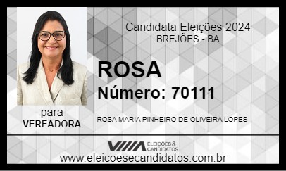 Candidato ROSA 2024 - BREJÕES - Eleições