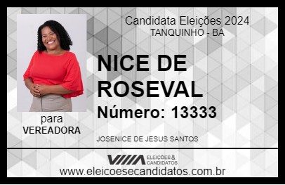 Candidato NICE DE ROSEVAL 2024 - TANQUINHO - Eleições