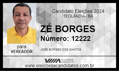 Candidato ZÉ BORGES 2024 - TEOLÂNDIA - Eleições