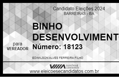 Candidato BINHO DESENVOLVIMENTO 2024 - BARREIRAS - Eleições