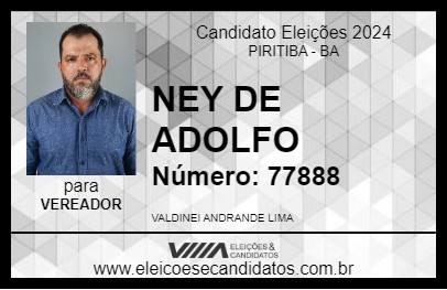 Candidato NEY DE ADOLFO 2024 - PIRITIBA - Eleições