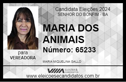 Candidato MARIA DOS ANIMAIS 2024 - SENHOR DO BONFIM - Eleições