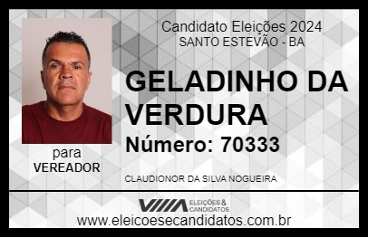 Candidato GELADINHO DA VERDURA 2024 - SANTO ESTEVÃO - Eleições