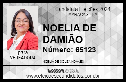 Candidato NOELIA DE DAMIÃO 2024 - MARACÁS - Eleições