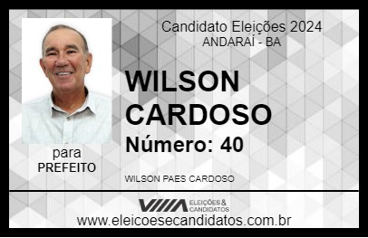 Candidato WILSON CARDOSO 2024 - ANDARAÍ - Eleições