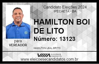 Candidato HAMILTON BOI DE LITO 2024 - IPECAETÁ - Eleições