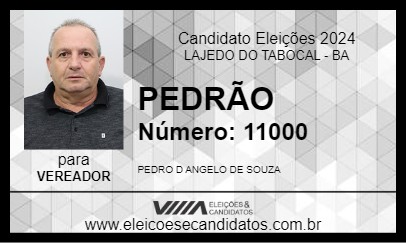 Candidato PEDRÃO 2024 - LAJEDO DO TABOCAL - Eleições