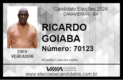 Candidato RICARDO GOIABA 2024 - CANAVIEIRAS - Eleições